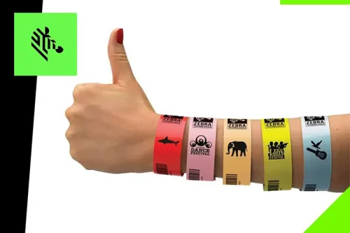 10012713-5K-ZEBRA-DIPROTEC-1-1024x683 copia