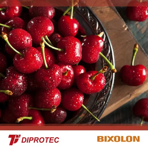 DIPROTEC-BIXOLON-CEREZAS-POST-BLOG-3-1024x1024 copia
