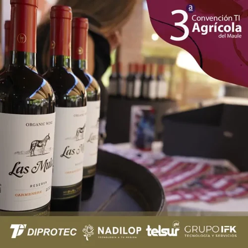 POST-LINKEDIN-VIÑA-5-1024x1024 copia