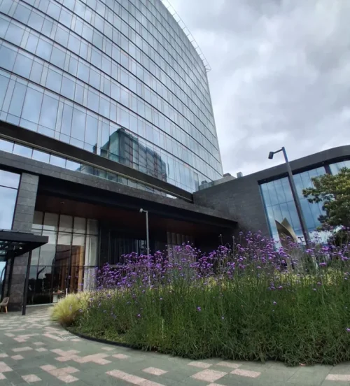 blog evento bluestar -5