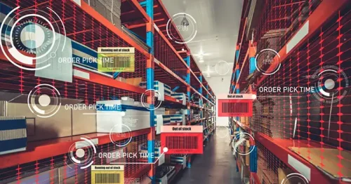 image-3-1024x538 copia