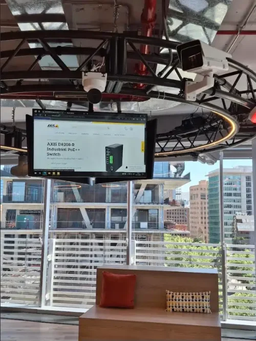 imagen_2024-12-03_154657151 copia